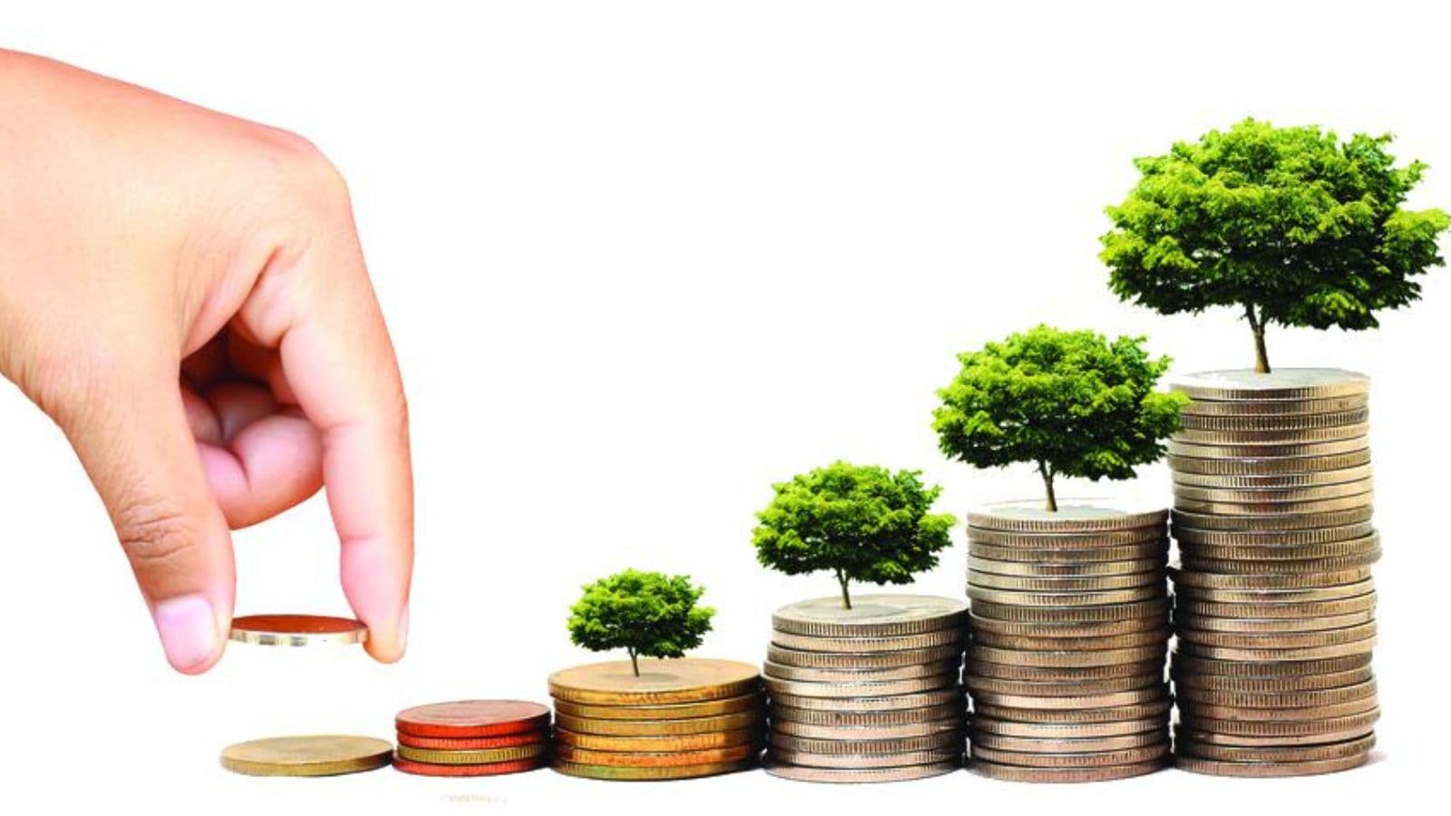 Investing 101 – How to take that first step for financial independence