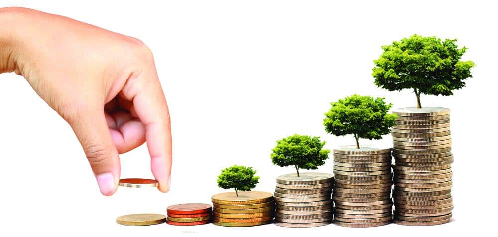 Fixed Deposits
